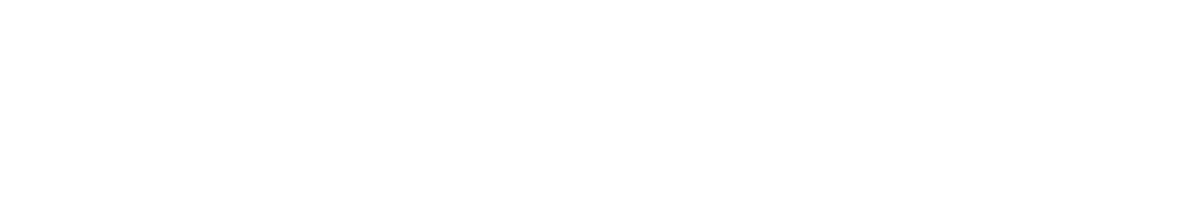 Fast Ventures